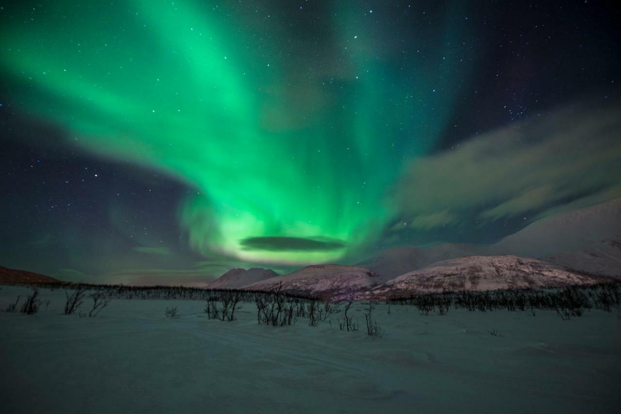 Lyngen Experience Apartments Nord-Lenangen Luaran gambar
